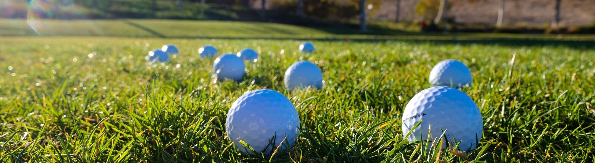 Several white golf balls are scattered on green grass in a field, with bright sunlight casting shadows and a blurred background of trees and a wall.