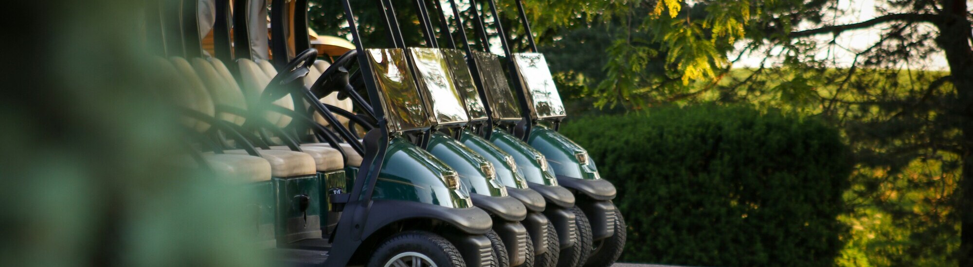 Several green golf carts are lined up in a row outdoors, surrounded by greenery and trees, with sunlight filtering through the leaves.